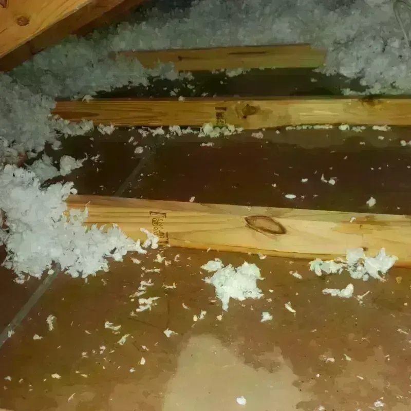 Attic Water Damage in Lakehills, TX