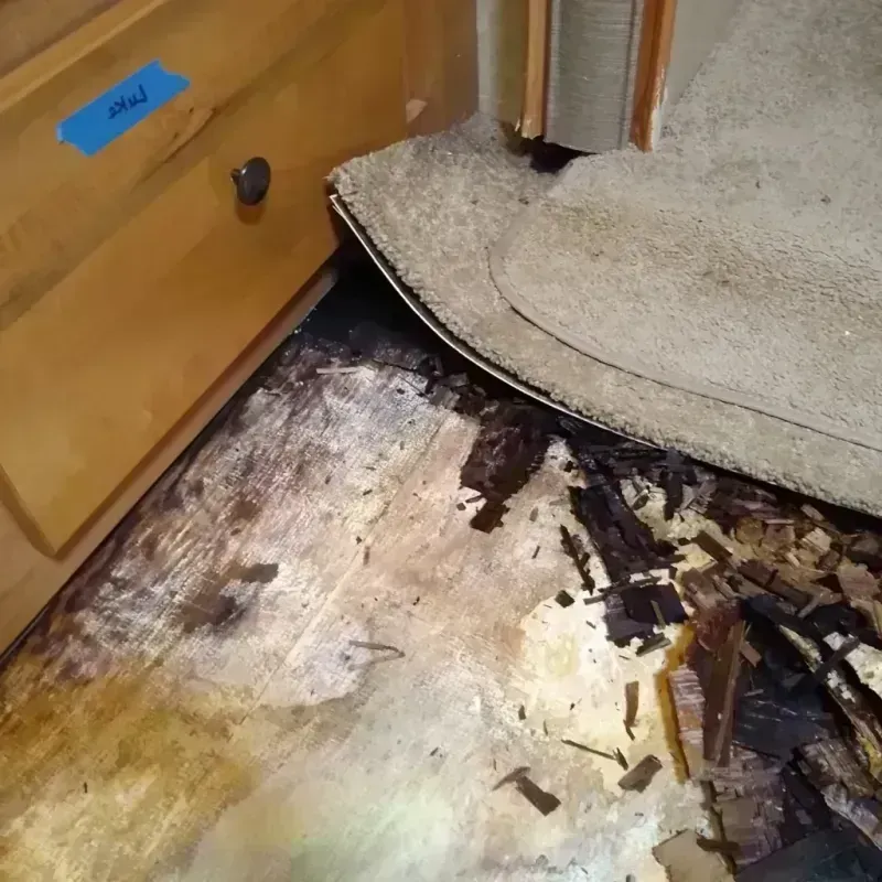 Best Wood Floor Water Damage Service in Lakehills, TX